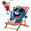 Blueberry