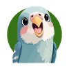 Budgie Sparrow