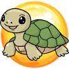Turtle Schildkröte Reptil