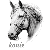 horse