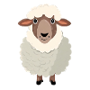 Mouton