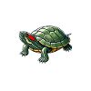 Turtle Red-eared Turtle