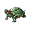 Turtle Red-eared Turtle