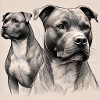 Pitbull Portrait