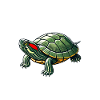 Turtle Red-eared Turtle