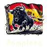 Pamplona Spain Torero España