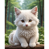 Chat mignon