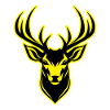 Portrait d’animal cerf