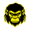 Monkey Animal Portrait