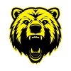 Bear Animal Portrait