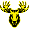 Moose Animal Portrait