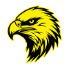 Eagle Animal Portrait