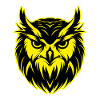 Owl Animal Portrait