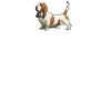 Cadeaux Basset Hound
