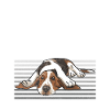 Basset Hound Gifts
