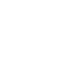 2025 limited edition