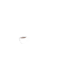 Half Principal Half Coffee