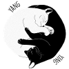 I Ching Cat