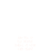 Internet Cat