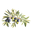 Crete Crete Greece