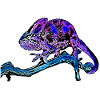 Chameleon