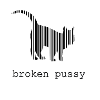 Broken Katze