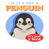 Penguin Baby Penguins Gift