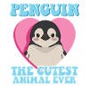 Penguin Bébé Mignon Pingouins Cadeaux