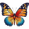 Beautiful Butterfly Gift Idea