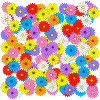 Blumenmeer