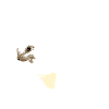 Squirrel lineart