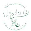Algerian Stubborn Complainer