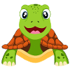 Turtle Turtles