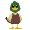 Canard colvert