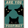 black fat cat fat are you pooping