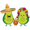 Avocat mexicain