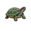 Turtle Red-eared Turtle