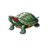 Turtle Red-eared Turtle