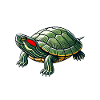 Turtle Red-eared Turtle