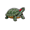 Turtle Red-eared Turtle
