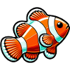 Clownfisch