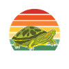 Turtle Red-eared Turtle