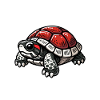 Turtle Red-eared Turtle
