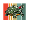 Turtle Red-eared Turtle