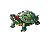 Turtle Red-eared Turtle