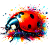 Ladybird
