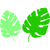 leaves