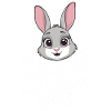 Bunny Bunnies Rabbit Pet
