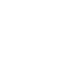 Limited Edition 1996