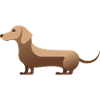 Petit teckel mignon beige